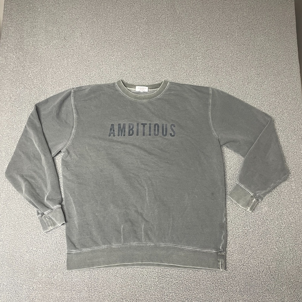 Phenomenal Sweatshirt Small Ambitious Long Sleeve Pullover gray large crew neck